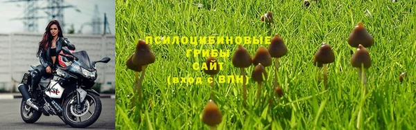 ешки Усолье-Сибирское