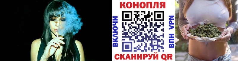 Купить  Калач  Бошки Шишки VHQ 